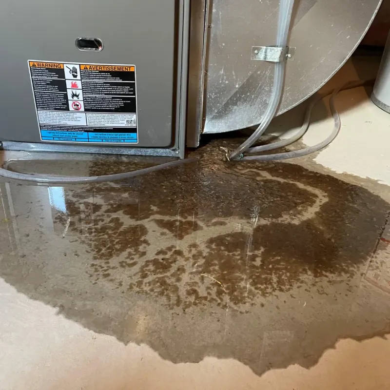 Appliance Leak Cleanup in Sausalito, CA